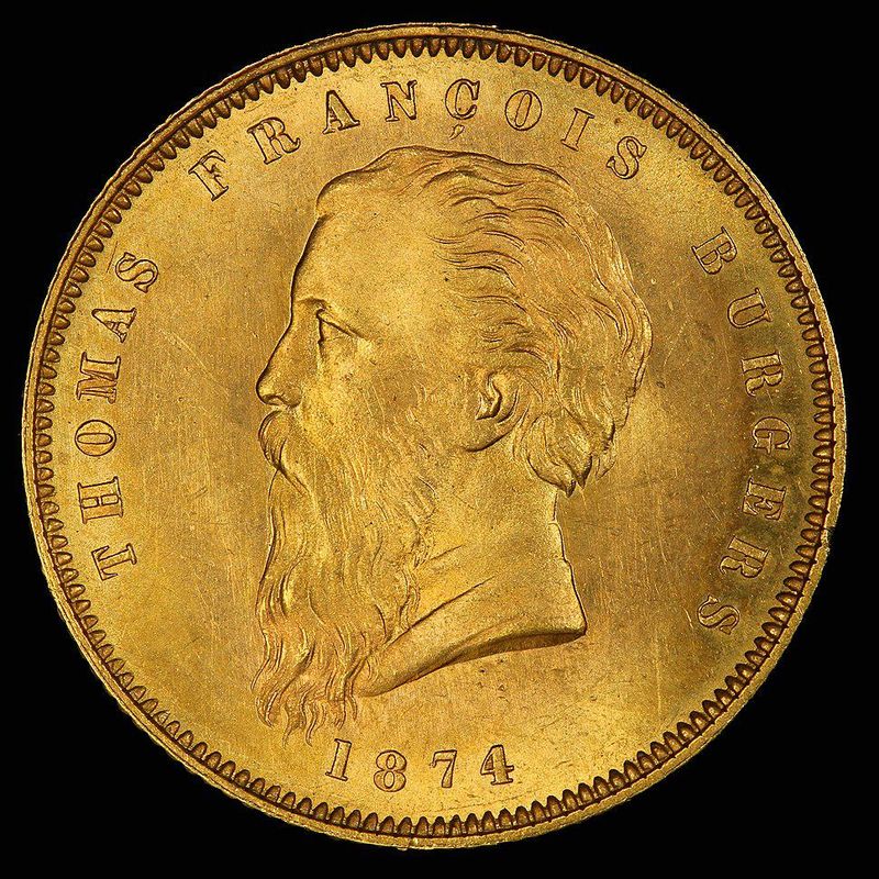 1874 Thomas Francois Burgers - Fine Beard