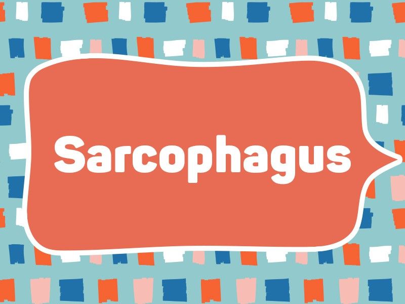 1981: Sarcophagus