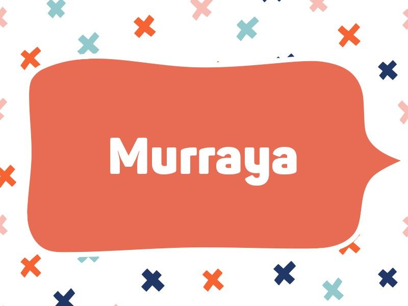 2021: Murraya