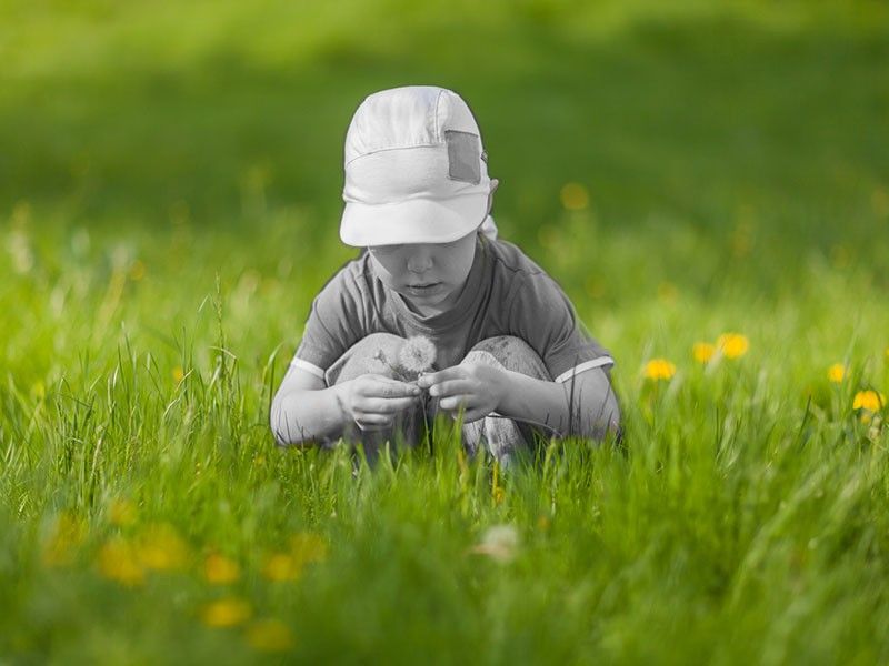 A little boy sits on his haunches in the grass and studies the fabulous white fluffy dandelions