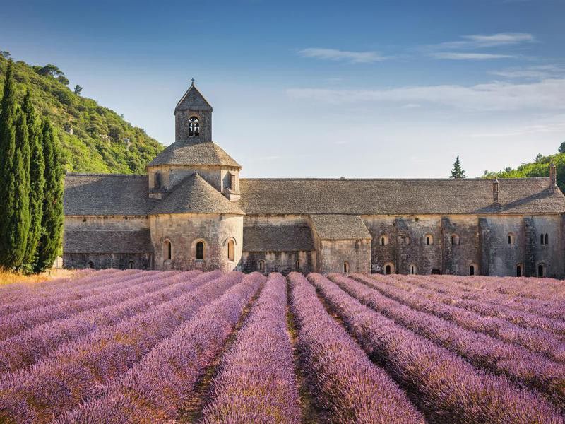 Abbeye de Senanque lavender field, France