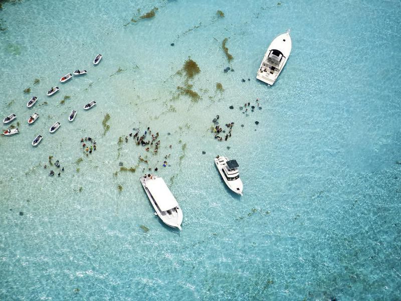 Aerial view of stingrays at Stingray City on Grand Cayman