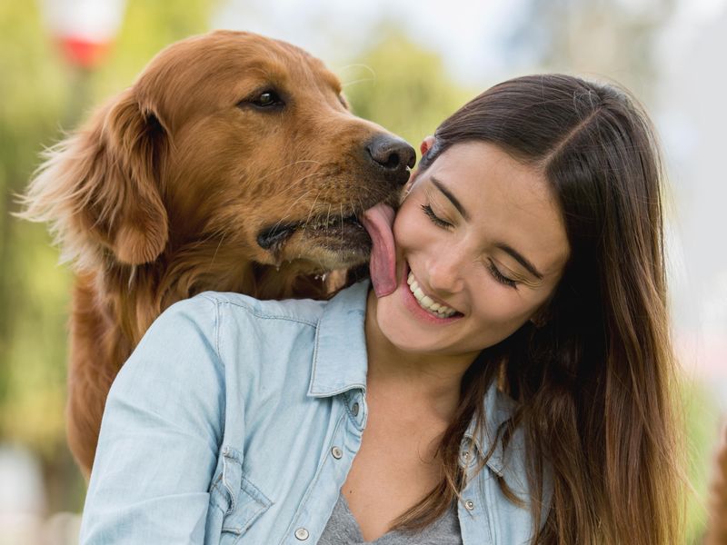 Affectionate dog licking a woman's face