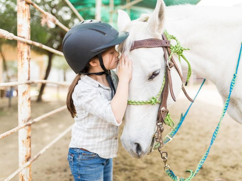 Affectionate Girl Kissing Equine