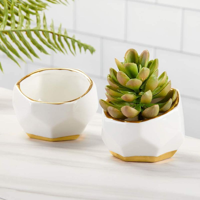 Alicia Keys’ Home Decor: Kate Aspen 23216NA Geometric Ceramic Planters Decorative Bowls (Set of 2)