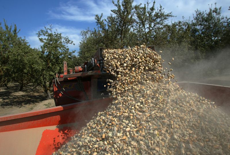 Almonds in California