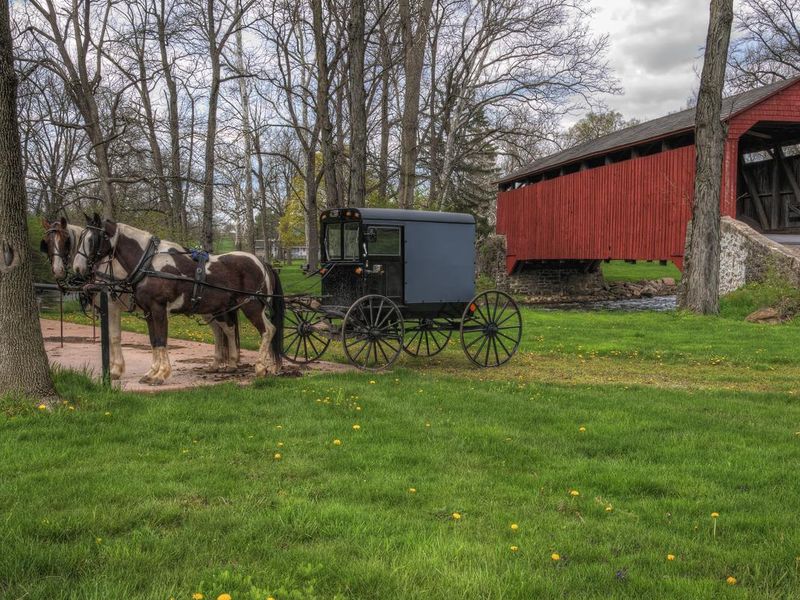 Amish Buggy Parked by Covered Bridge