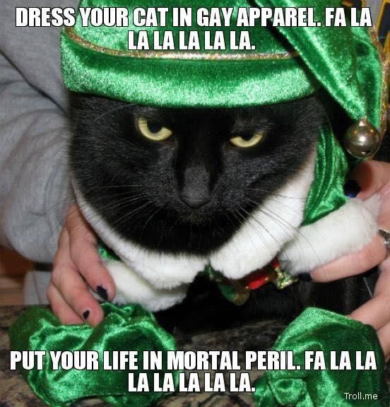 Angry cat Christmas meme