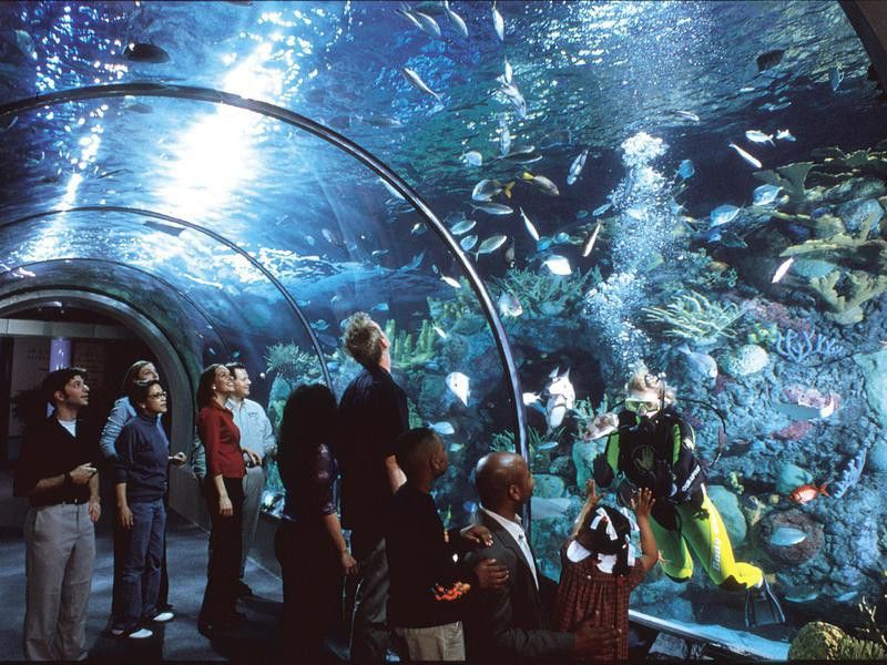 Audubon Aquarium of the Americas