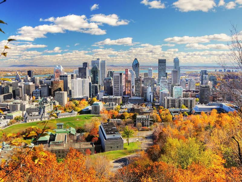 Autumn Colors in Montreal City