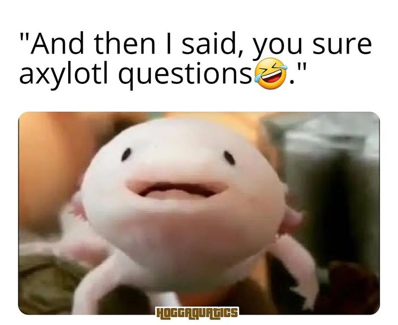 Axylotl meme