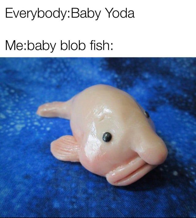Baby blob fish meme