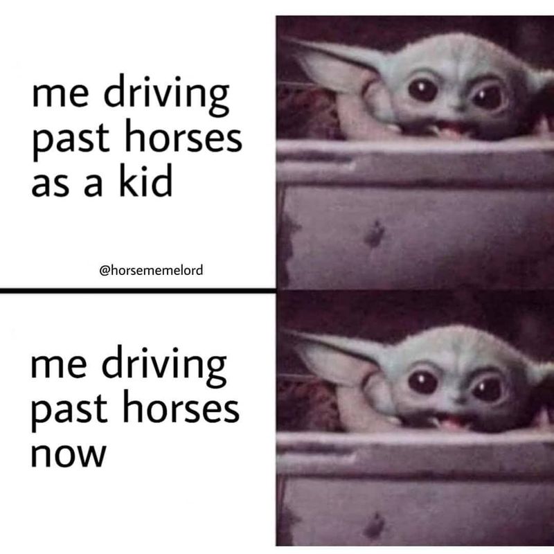 Baby Yoda excited to see a horse