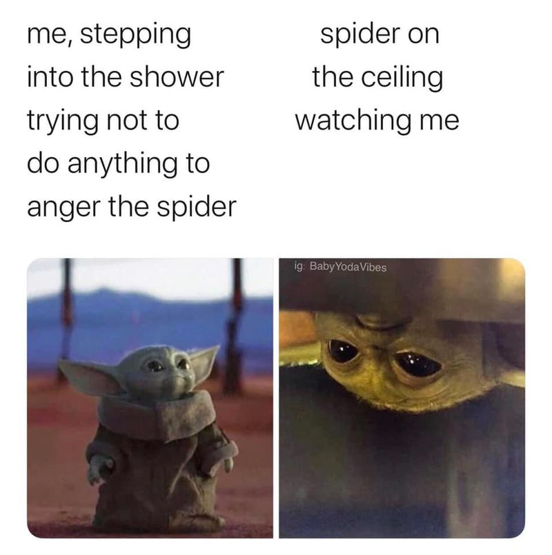 Baby Yoda spider meme