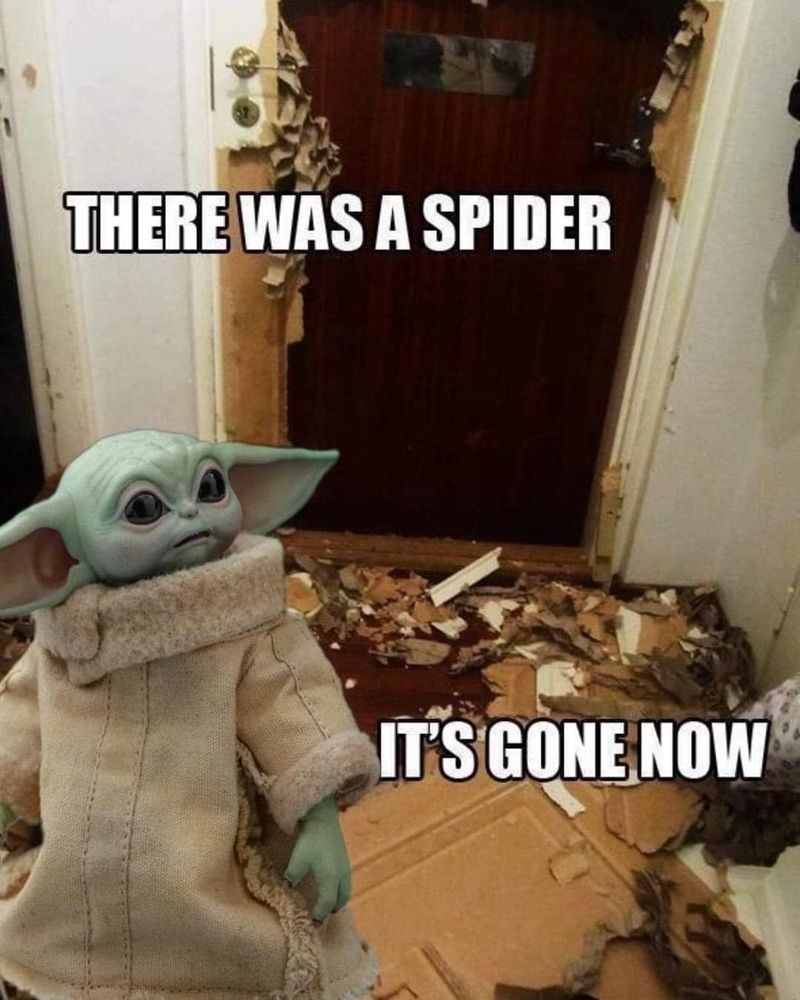 Baby Yoda spider meme