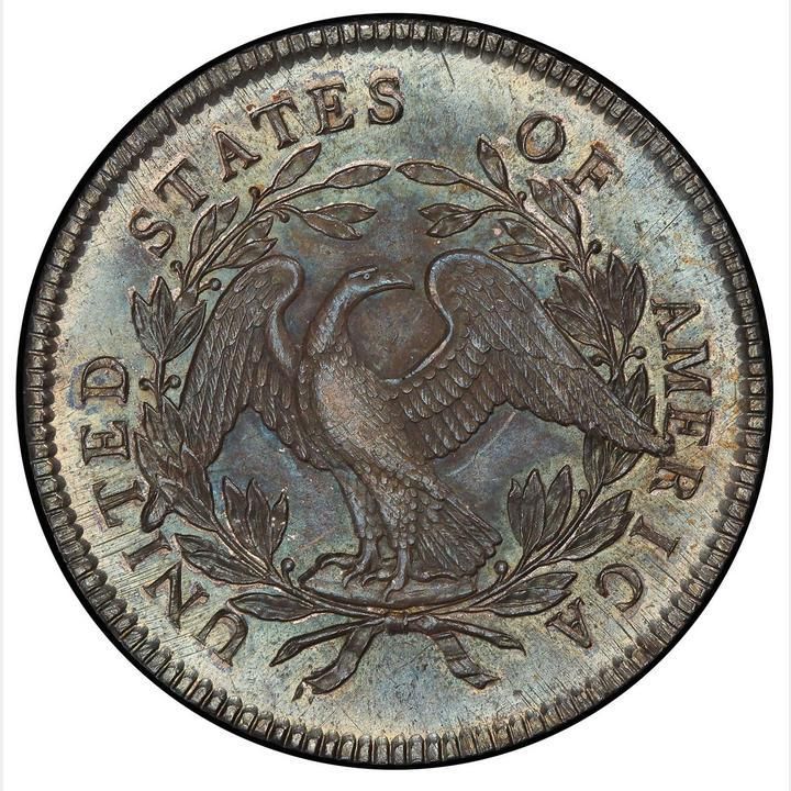 Back of 1795 Flowing Hair Silver Dollar 822.5