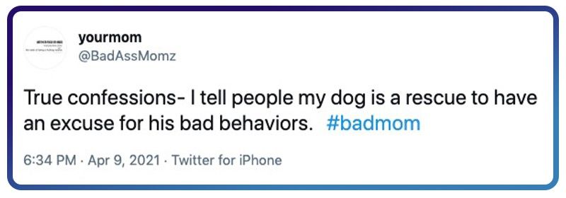 badly behaved dog