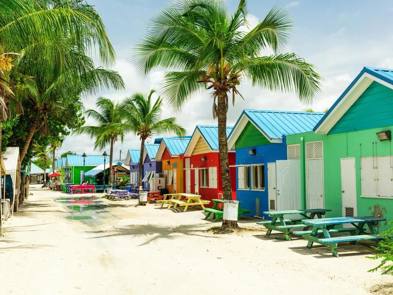 Barbados beach houses