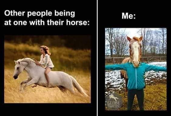 Be one your horse funny meme
