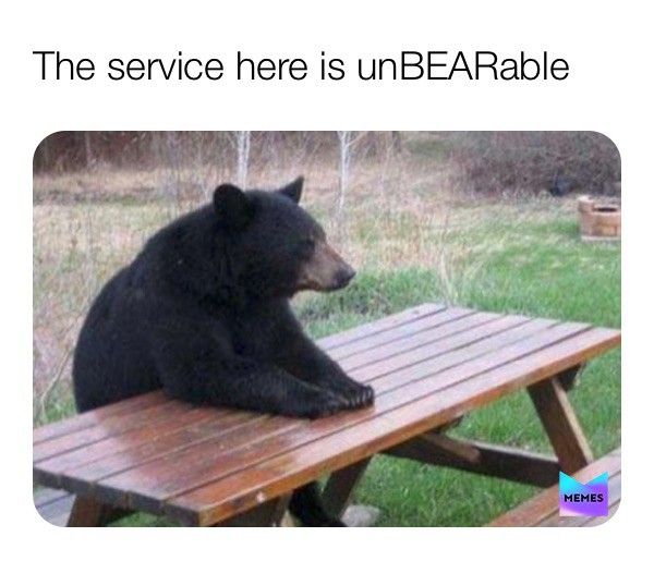 Bear at a picnic table meme