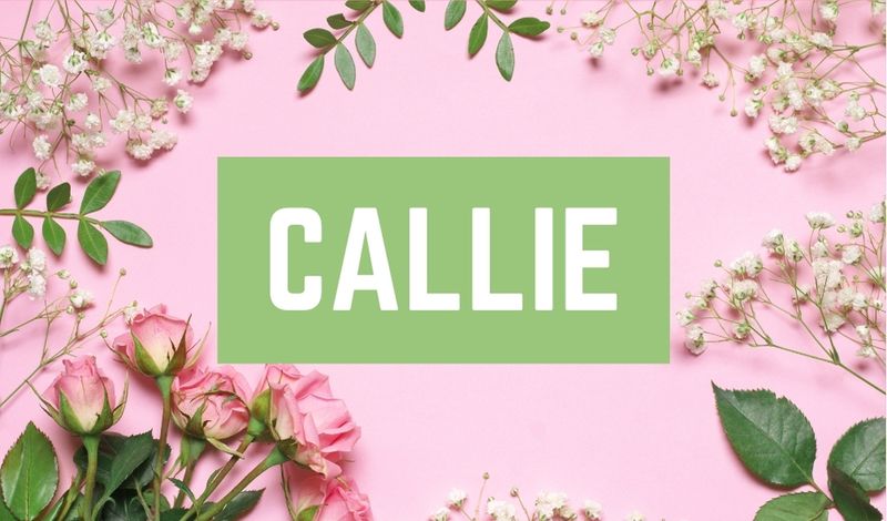 Beautiful Baby Girl C Names: Callie