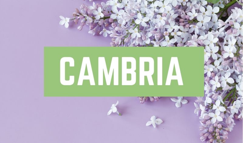 Beautiful Baby Girl C Names: Cambria
