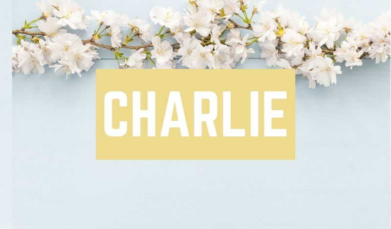 Beautiful Baby Girl C Names: Charlie