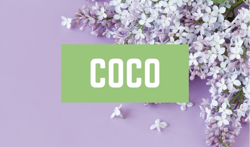 Beautiful Baby Girl C Names: Coco