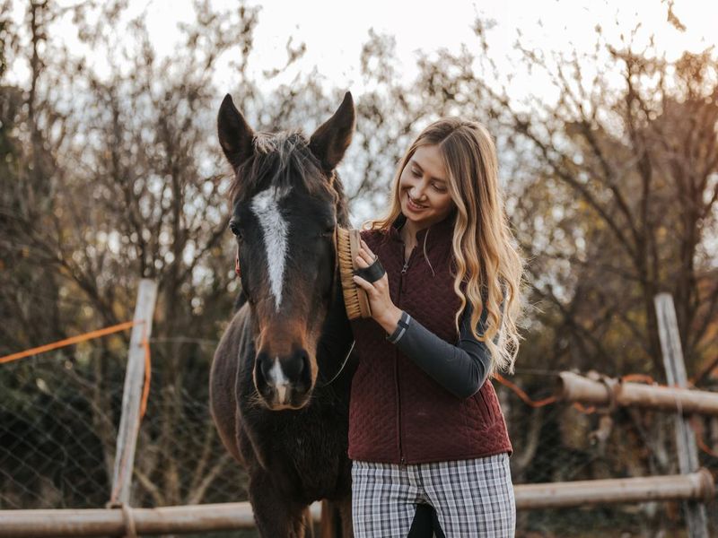 Beautiful young woman with long hair grooming her horse on the farm