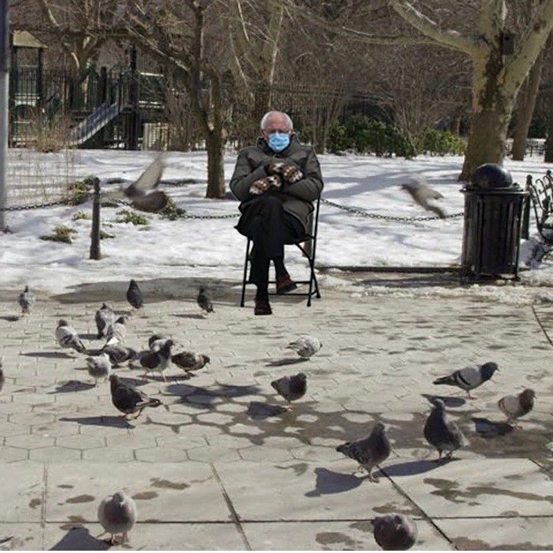 Bernie Sanders and pigeons