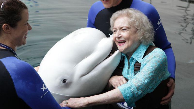 Betty White and a beluga whale