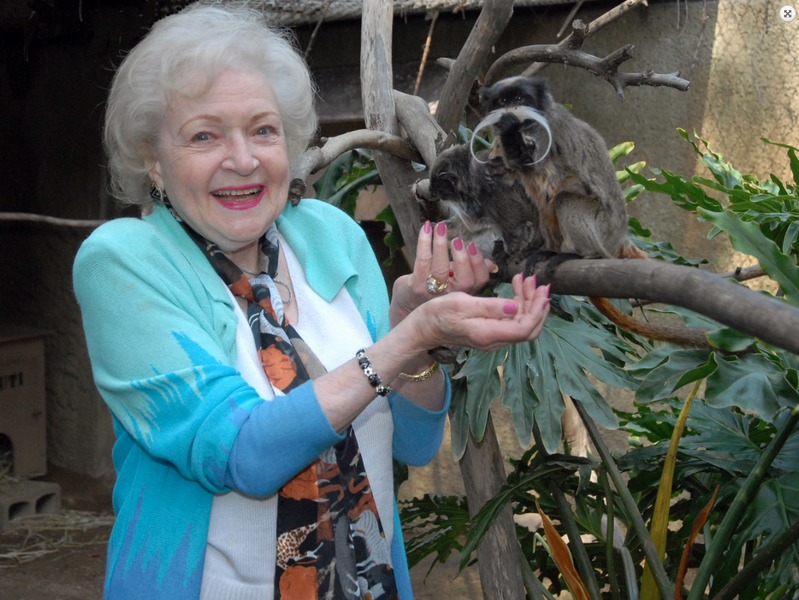 Betty White at the Los Angeles Zoo