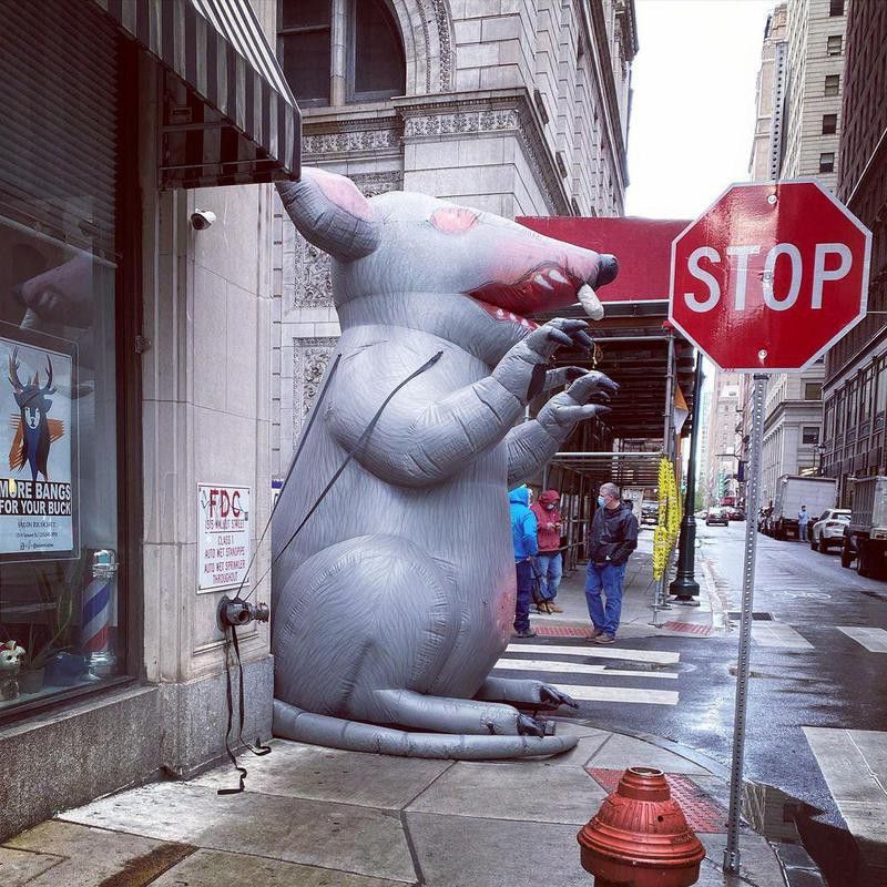 Blow up rat in Philly