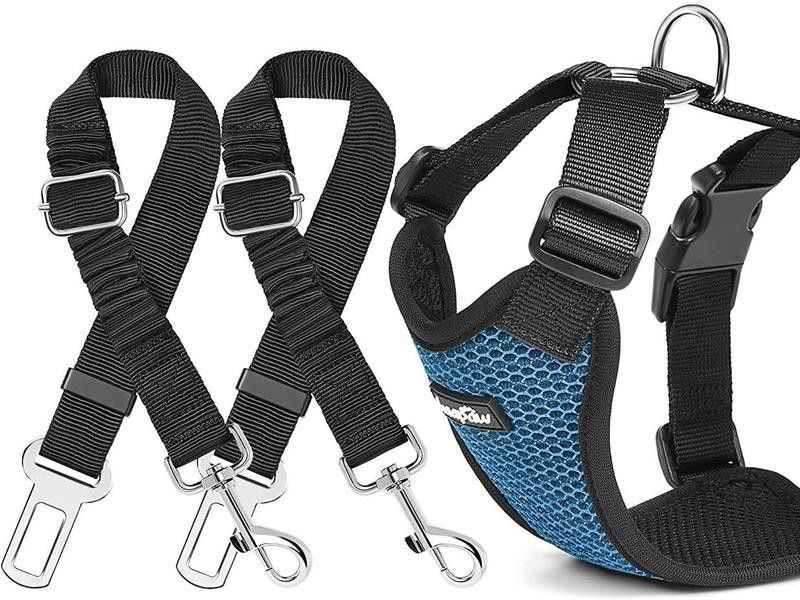 Blue dog harness with two dog seat belts