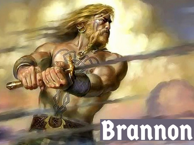 Brannon is a traditional Irish name