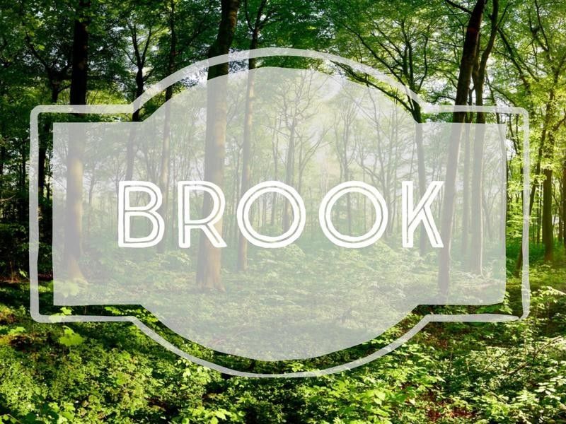Brook nature-inspired baby name