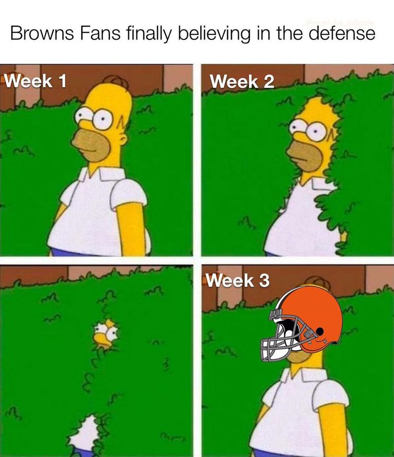 Browns defense meme