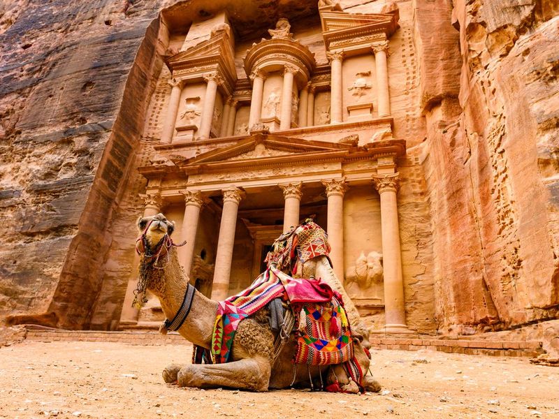Camel in front of Al Khazneh (The Treasury) in Petra