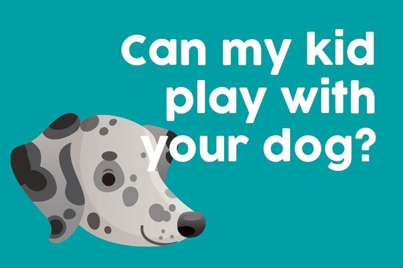 Can my kid play with your dog?