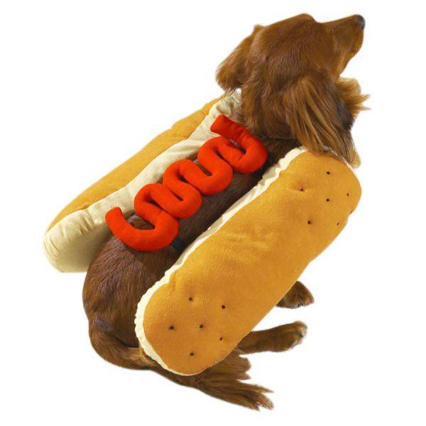 Casual Canine hot diggity dog costume