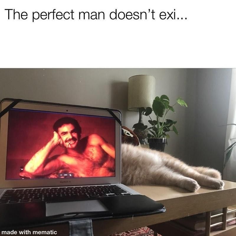 Cat behind laptop