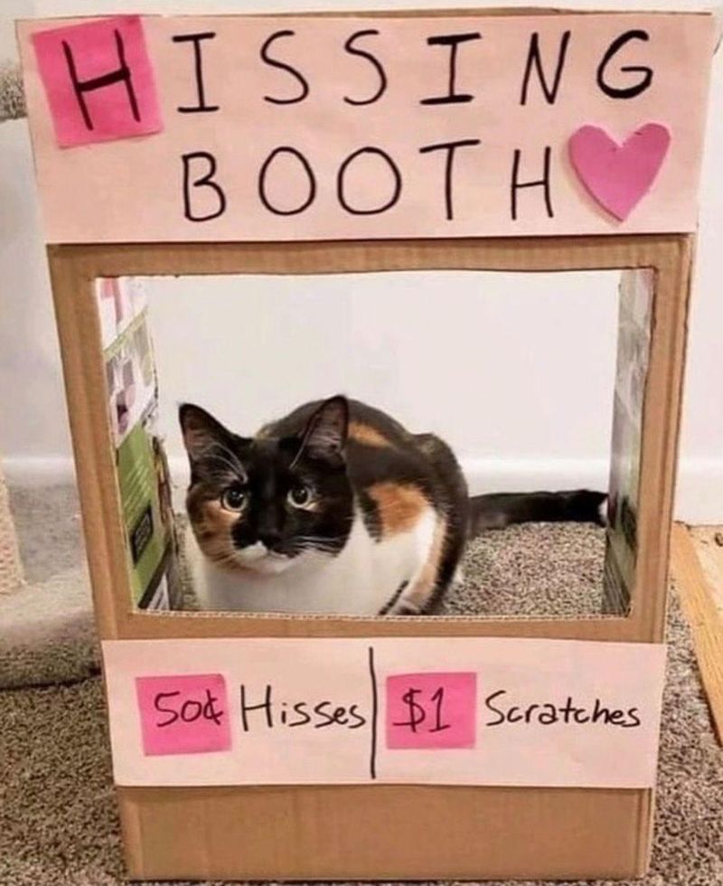 Cat hissing booth