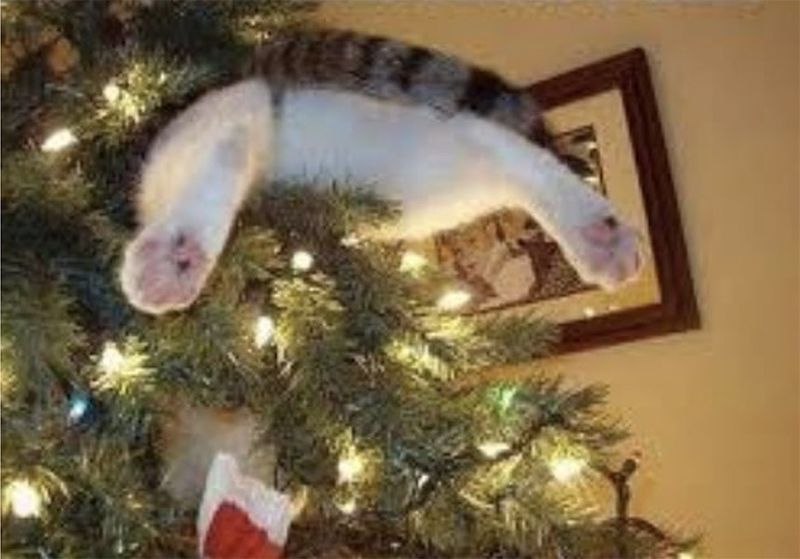 Cat jumping into the Christmas tree