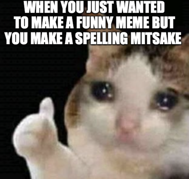 Cat making spelling errors meme
