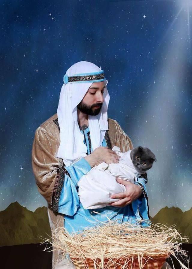 Cat nativity
