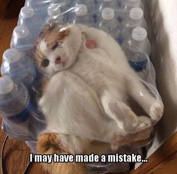 Cat stuck in water bottle package