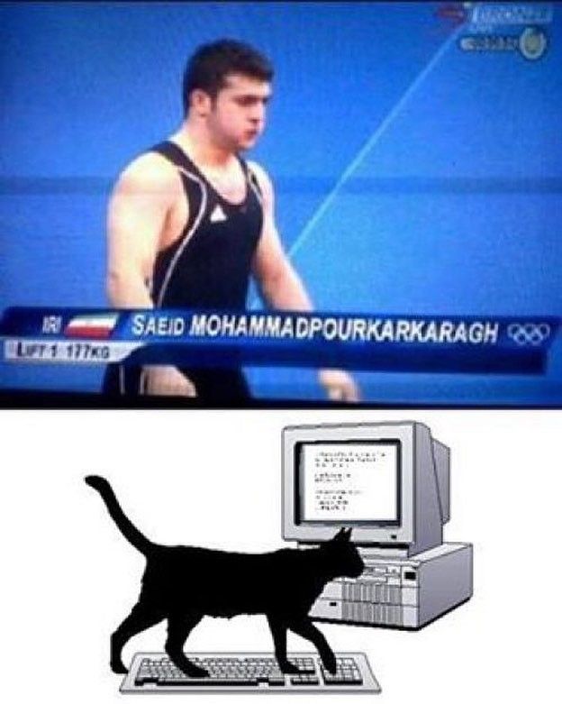 Cat typing on keyboard