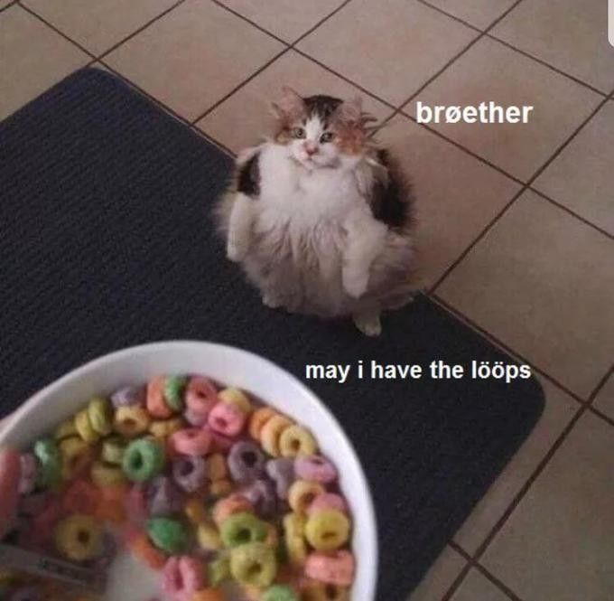 Cat wants Fruit Loops