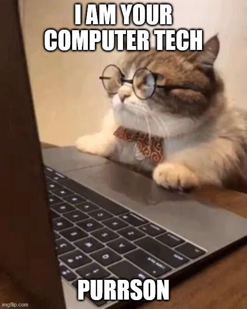 Cat with glasses and a laptop