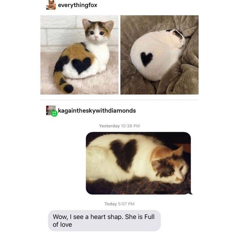 Cats with hearts in their fur